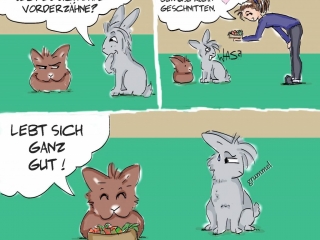 Kaninchencomics, Aufklärung, Tierschutz, Spaß, bunnies, rabbits, Geschenk, Comiczeichnerin, Illustratorin