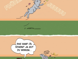 CBD-öl, Kaninchencomics, Aufklärung, Tierschutz, Spaß, bunnies, rabbits, Geschenk, Comiczeichnerin, Illustratorin