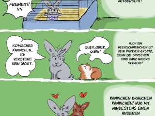 keine Käfighaltung, Kaninchencomics, Aufklärung, Tierschutz, Spaß, bunnies, rabbits, Geschenk, Comiczeichnerin, Illustratorin