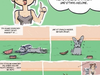 Sommertipps, Kaninchencomics, Aufklärung, Tierschutz, Spaß, bunnies, rabbits, Geschenk, Comiczeichnerin, Illustratorin