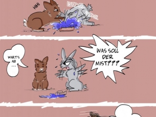 Kaninchencomics, Aufklärung, Tierschutz, Spaß, bunnies, rabbits, Geschenk, Comiczeichnerin, Illustratorin