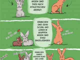 Kaninchencomics, Aufklärung, Tierschutz, Spaß, bunnies, rabbits, Geschenk, Comiczeichnerin, Illustratorin
