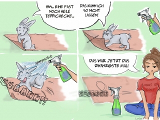 Kaninchencomics, Aufklärung, Tierschutz, Spaß, bunnies, rabbits, Geschenk, Comiczeichnerin, Illustratorin