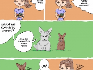Kaninchencomics, Aufklärung, Tierschutz, Spaß, bunnies, rabbits, Geschenk, Comiczeichnerin, Illustratorin