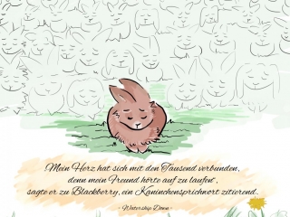 Seelentiere, Abschied, Regenbogenbrücke, Trauer Kaninchencomics, Aufklärung, Tierschutz, bunnies, rabbits, Geschenk, Comiczeichnerin, Illustratorin