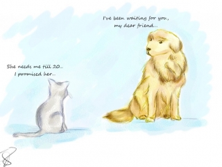 Seelentiere, Abschied, Regenbogenbrücke, Trauer Kaninchencomics, Aufklärung, Tierschutz, bunnies, rabbits, Geschenk, Comiczeichnerin, Illustratorin