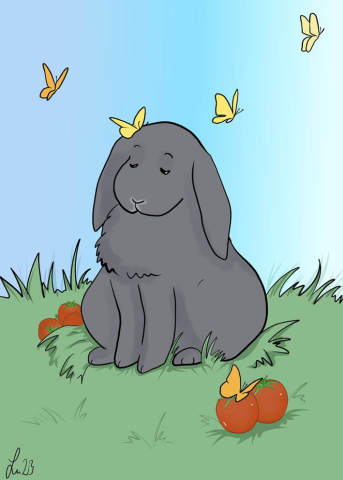 Illustration, Seelentier, Kaninchen, Bunnies, Hasen, rabbits, Comic, Geschenk